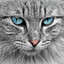 .Bleem's avatar