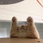 你猜有没有人起这个名