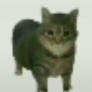 WWW