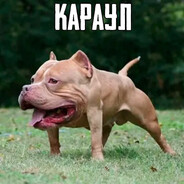 РОМА ЖЁЛУДЬ avatar