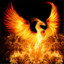 Fire Phoenix