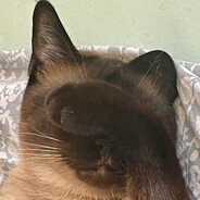 Sleepy