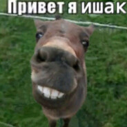sh1zOo1d_'s avatar