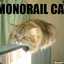 Monorail Cat