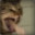 Licky Licky Balls