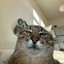 Whoa, I&#039;m Woeful