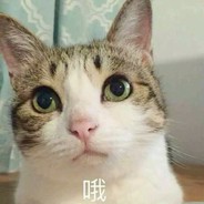 魔法少女王遗风