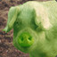 PIG#RASHA@#$REVOLUTIONE