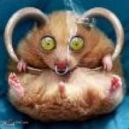 hellHamster