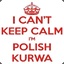 POLISH KURWA
