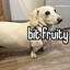 bit fruity's avatar