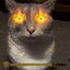 cremate them?