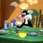 the lone cat