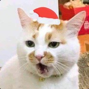 应该不是高冷哔