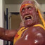 Hulkamania