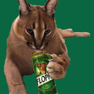 CinkiBartuś - steam id 76561199345565876