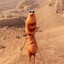 hsnahim