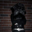 Dark