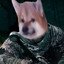 Mikcoar [WR]