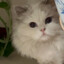 JACKSON