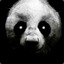 Panda [CYP] #Samyo