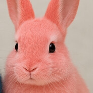 Coelho Rosa