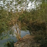 单身才叫青涩//。