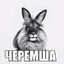 Уолтер Белый