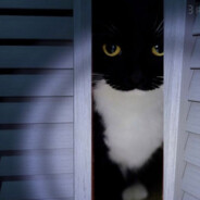 JavaCoffeBean