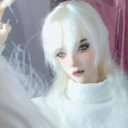 柳月（限定枳枳版）