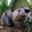 Comrade Wombat