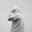 hAZE-