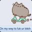 Pusheen the Cat