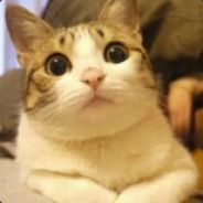 jiejie