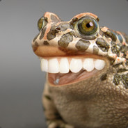 froggoWithTeeth