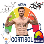 Pasha Cortisol