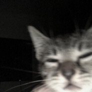 _mosini__ avatar