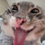 rigby