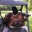 Golf Cart Nigga