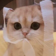 光顾着刹车忘了刹你了