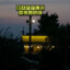 AloneAtWaffleHouse