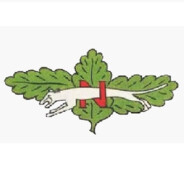 Noak Sch Pz-jg Abt 654