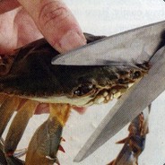 Crab Memes