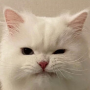 TONY老师为你敲木鱼