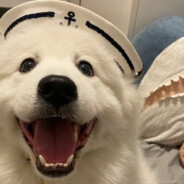 第一突破手海贼 王路飞