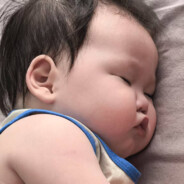 小马宝莉的马肠子