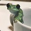 DumpyTreefrog