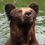 17岁天才智少の