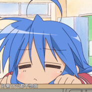 帕拉迪岛的自由猫