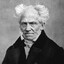 Arthur Schopenhauer